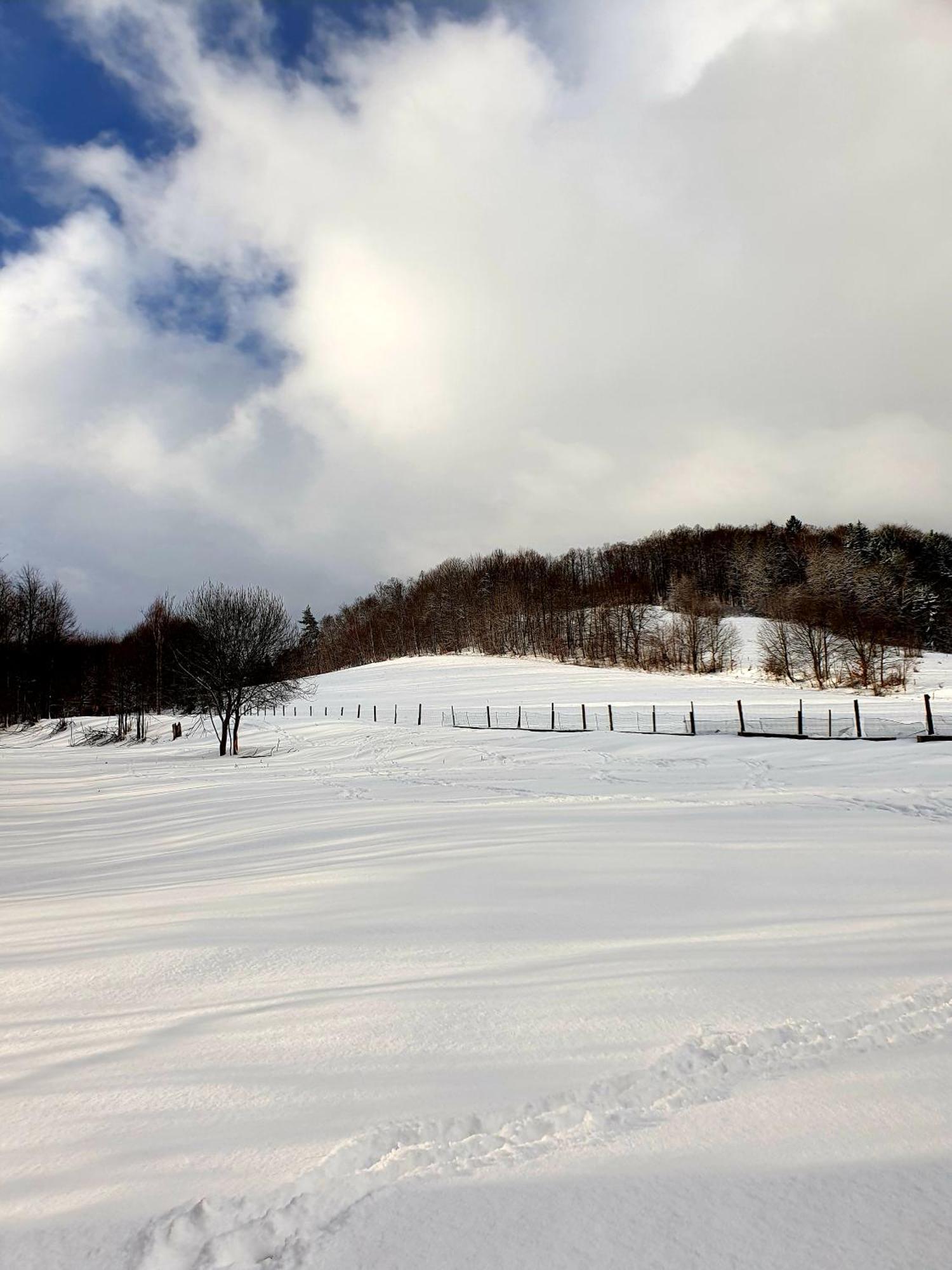 Agroturystyka Natura Pilchowice Esterno foto